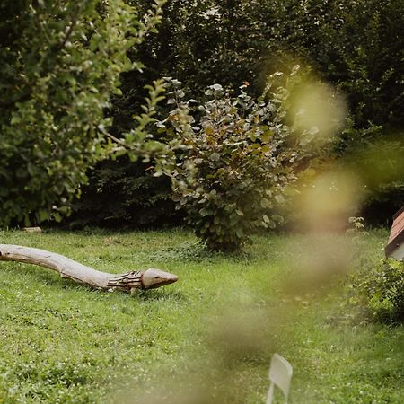 Schoene Wohnung Am Stadtrand Von Meran Valentinhof Εξωτερικό φωτογραφία